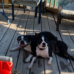 Meet your Posher, Sheila